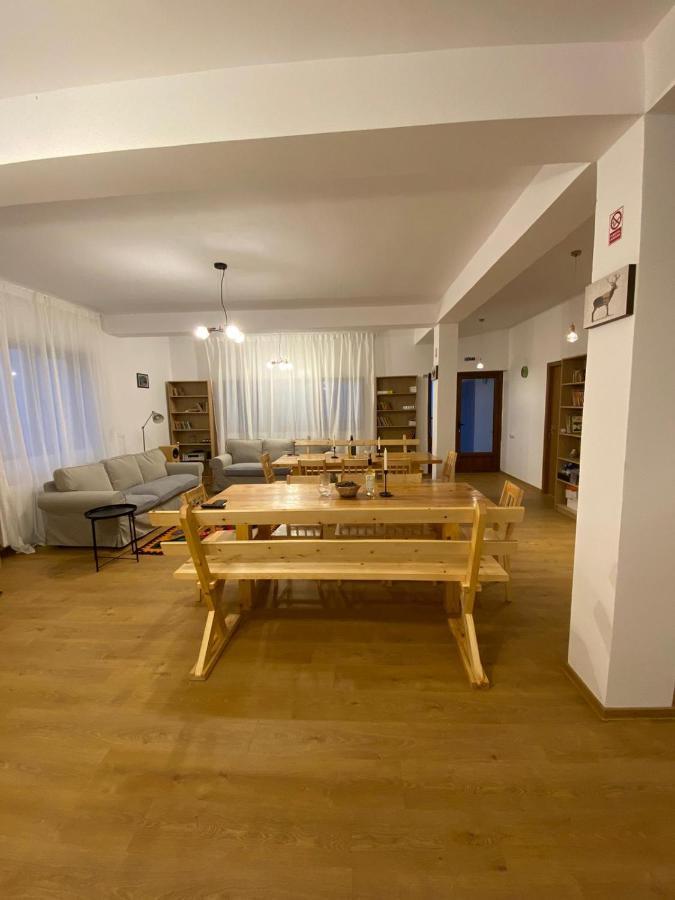 Hotel Casuta De La Munte Sfodea Exteriér fotografie
